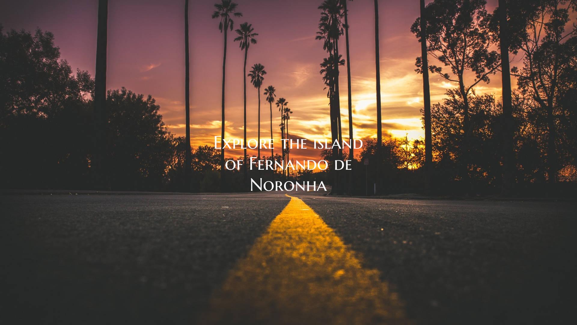 Explore the island of Fernando de Noronha