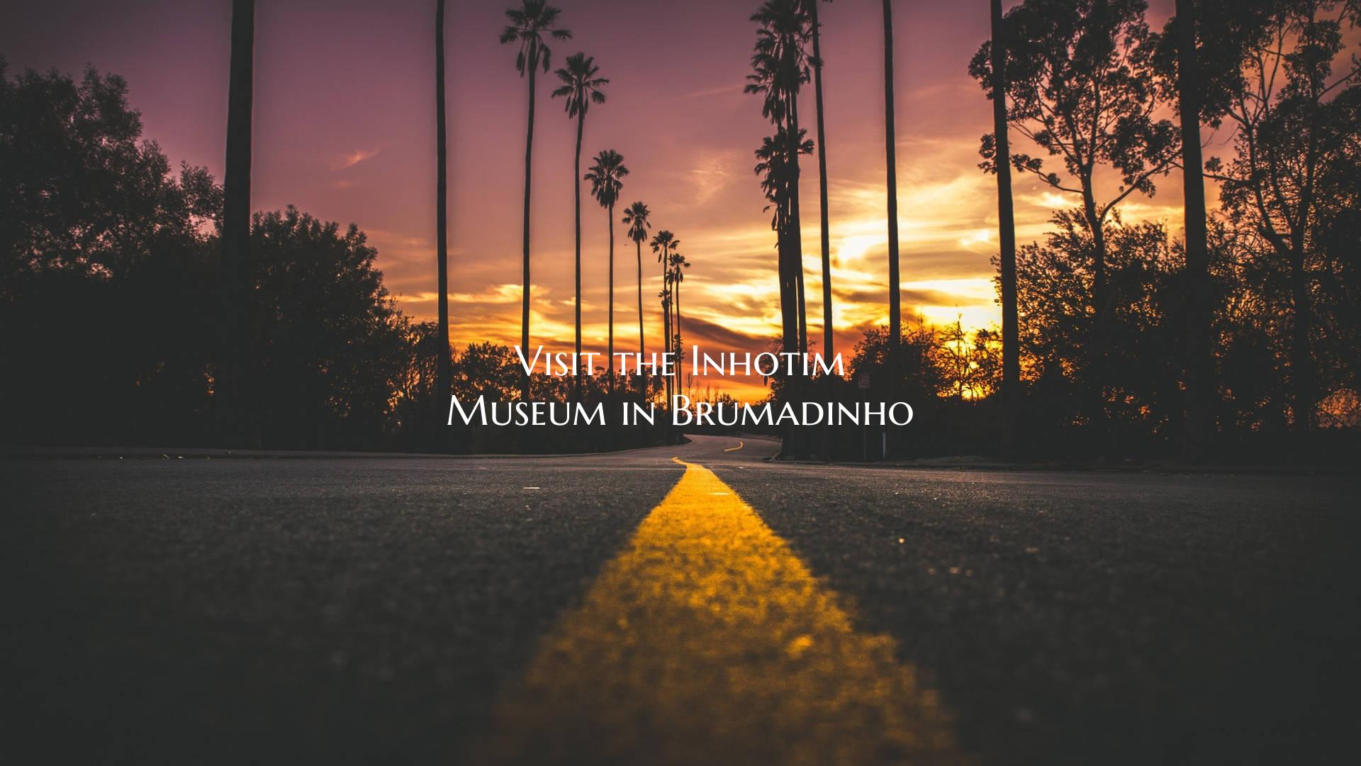 Visit the Inhotim Museum in Brumadinho