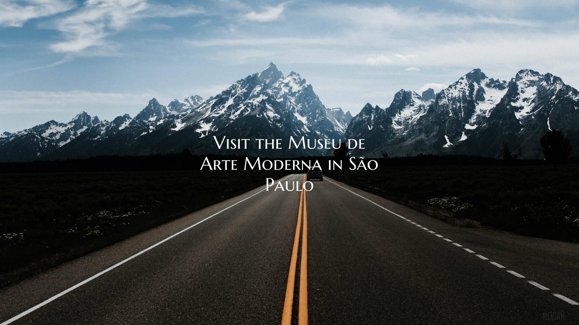 Visit the Museu de Arte Moderna in São Paulo